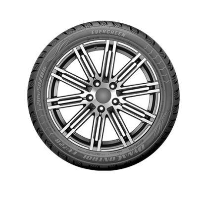 205/55R16 ZR  XL 94W EU728 EVERGREEN (verano) - Image 3